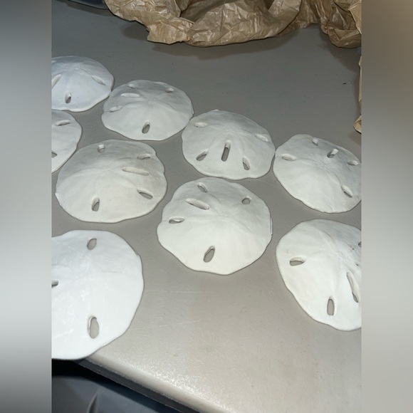 SAND-DOLLAR COLLECTION (NOT REAL) - Picture 3 of 8